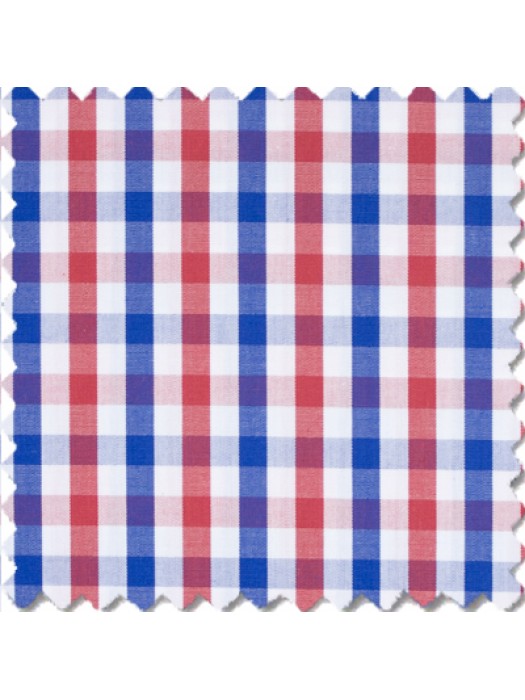 Xico, Blue /Red Multicolor Gingham checks 