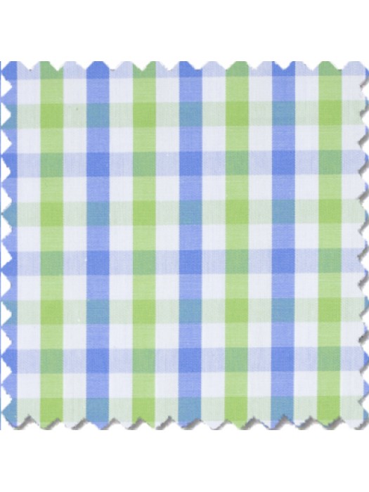 Xico, Blue /Green Multicolor Gingham checks 