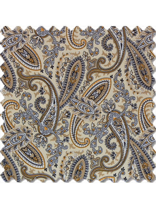 Muticolor floral Beige Paisley